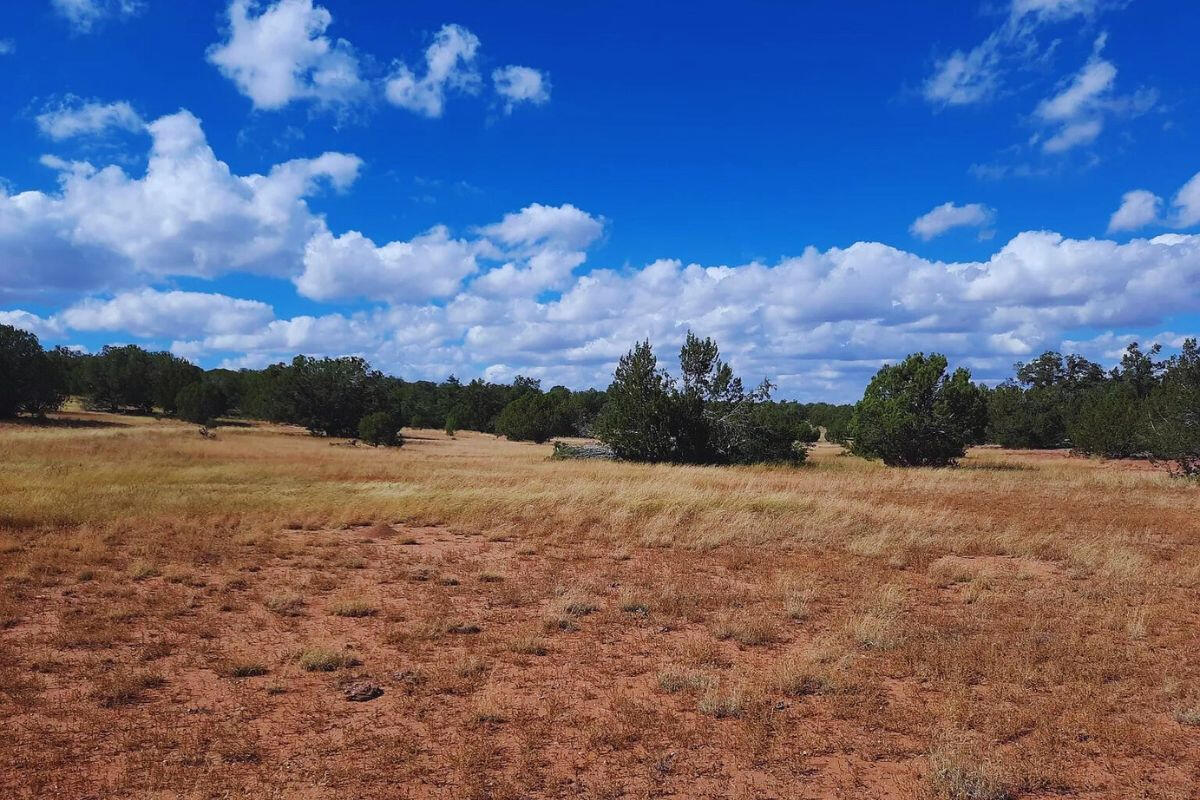 Near Front - Shadow Mountain Pkwy, Seligman, AZ 86337, USA