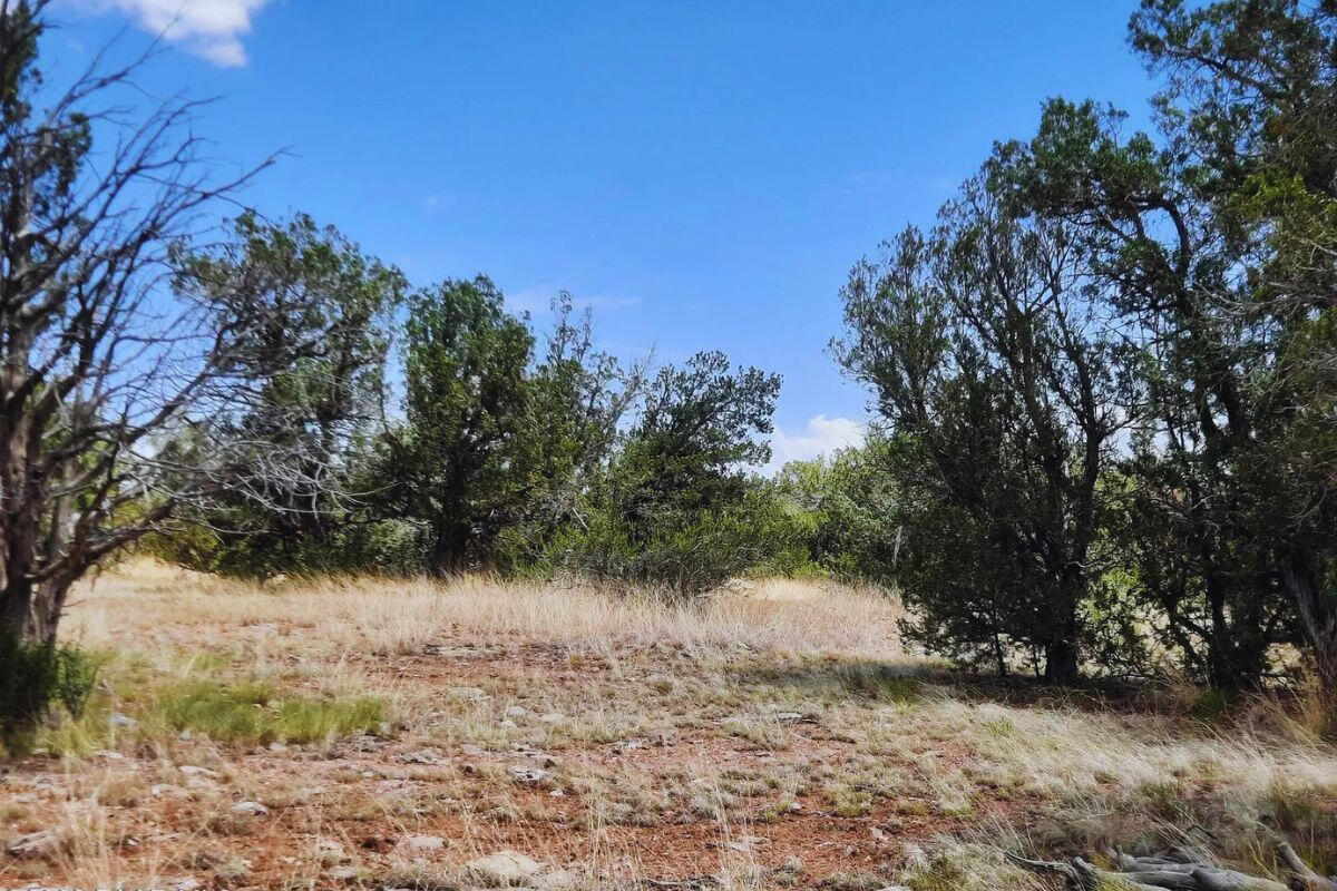 Near Front - Shadow Mountain Pkwy, Seligman, AZ 86337, USA