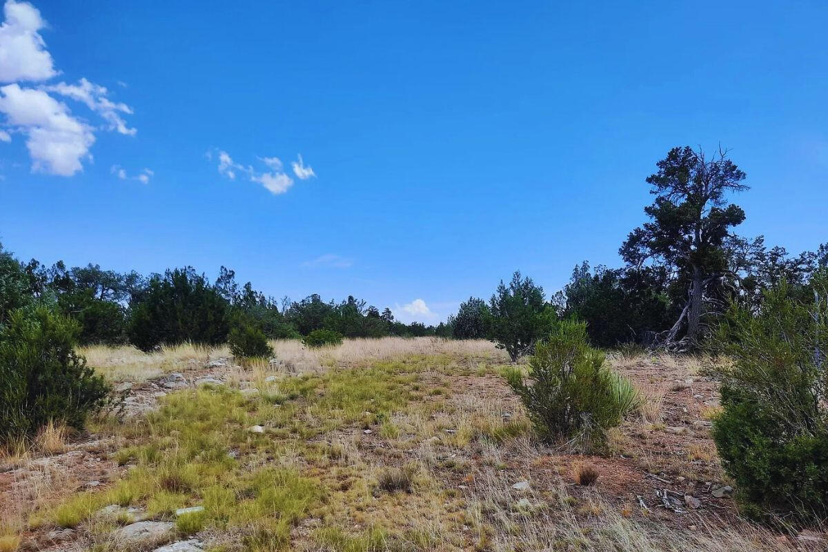 Near Front - Shadow Mountain Pkwy, Seligman, AZ 86337, USA