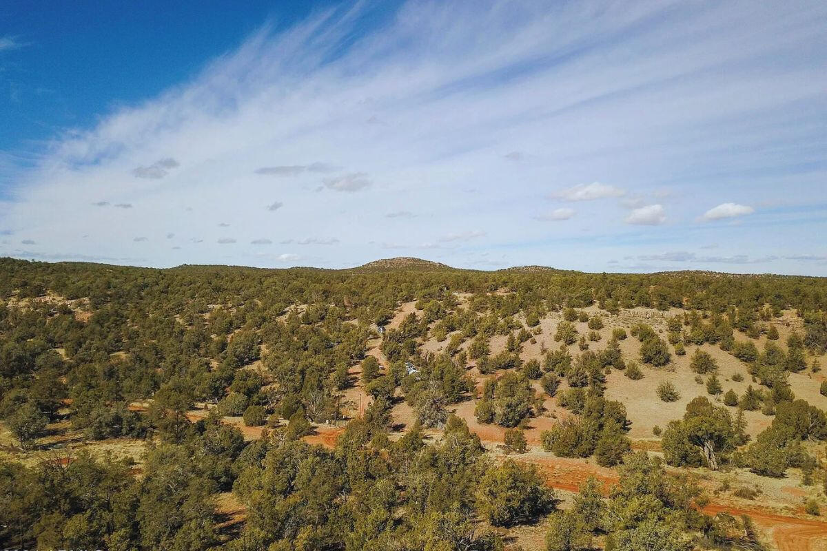 Near Front - Shadow Mountain Pkwy, Seligman, AZ 86337, USA