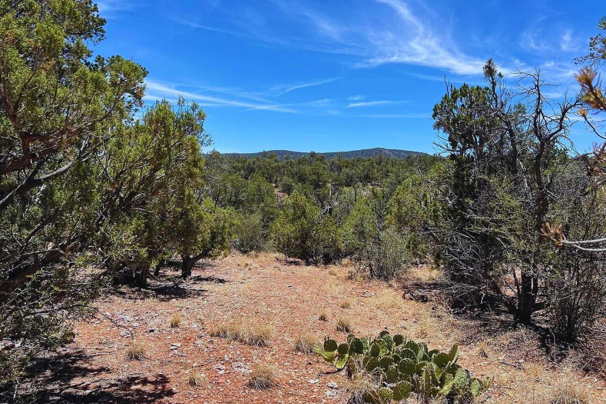 Near Front - Shadow Mountain Pkwy, Seligman, AZ 86337, USA
